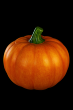 09/22/25 Paint the Season: Halloween & Holiday Ceramics 6:00 PM