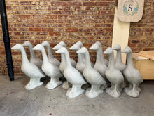 8/21/26 The Final Flock: A Concrete Goose Experience 6:00 PM