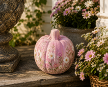 8/20/26 Summerween Pumpkin Paint Party 6:00 PM