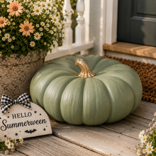 8/20/26 Summerween Pumpkin Paint Party 6:00 PM