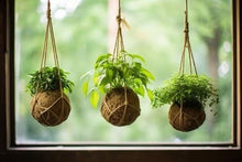 05/15/25 Rooted & Wrapped: A Kokedama Workshop 6:00 PM