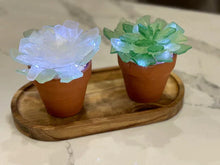 04/04/24 Private Party Sea Glass Succulents 10:00 AM