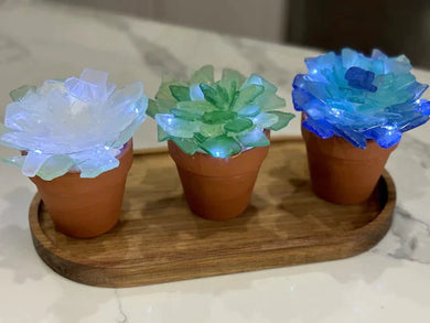 04/04/24 Private Party Sea Glass Succulents 10:00 AM